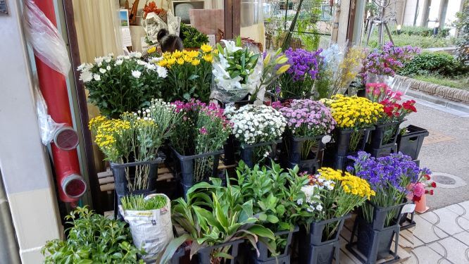 10月27日 手話が使える花屋さん 介助犬のひろば